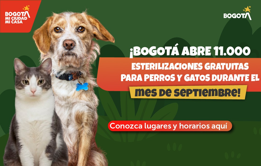 Bogotá amplía la oferta de esterilizaciones gratuitas con 11.000 cupos durante septiembre