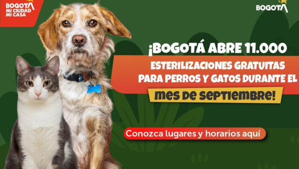 Bogotá amplía la oferta de esterilizaciones gratuitas con 11.000 cupos durante septiembre