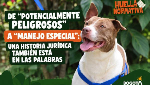 De “potencialmente peligrosos” a “manejo especial”: una historia jurídica también está en las palabras