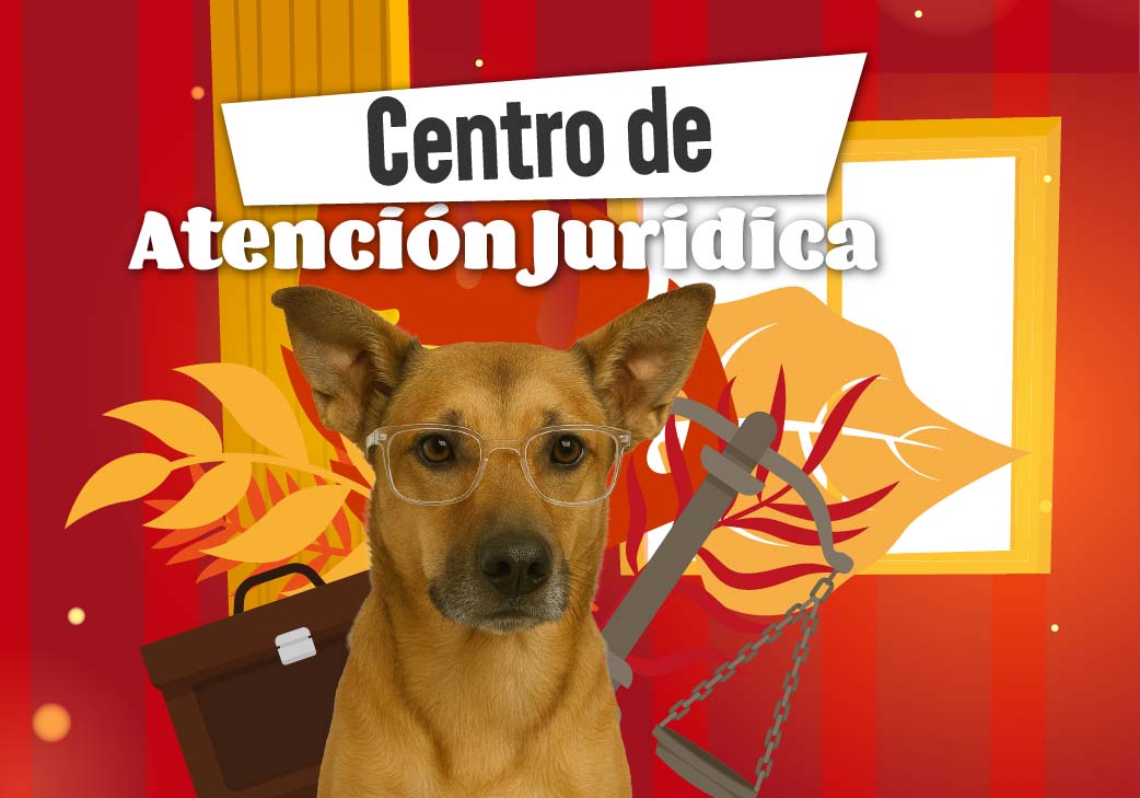 Banner del Centro de Atención Jurídica del IDPYBA