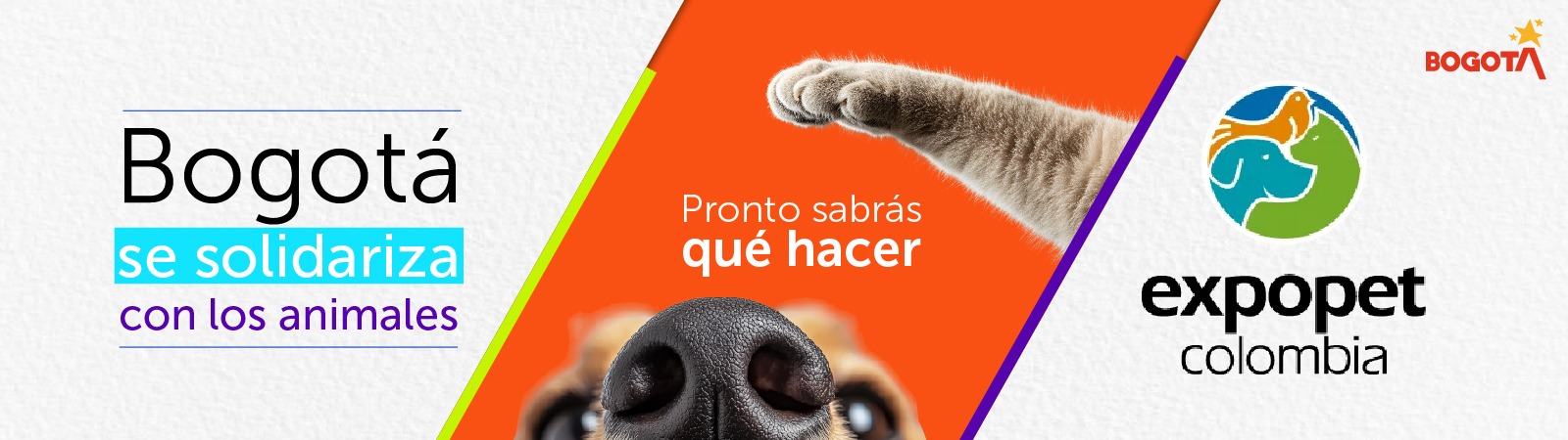 Bogotá se solidariza con los animales