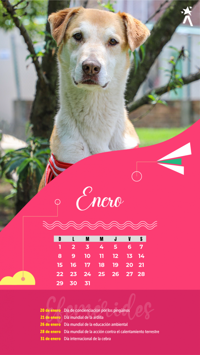 Calendario Enero 2023