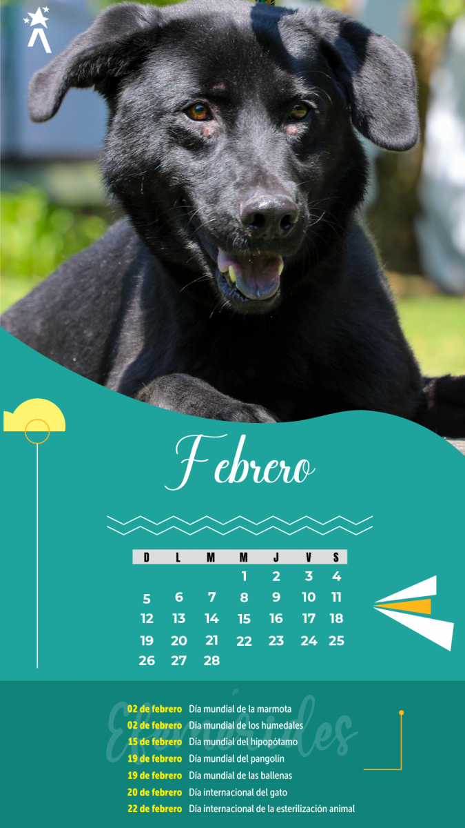 Calendario Febrero 2023