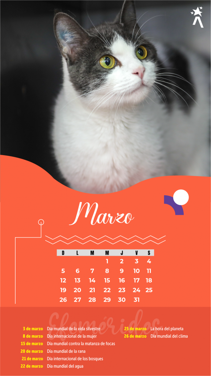 Calendario Marzo 2023