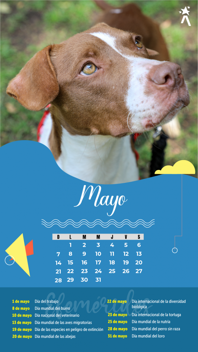 Calendario Mayo 2023