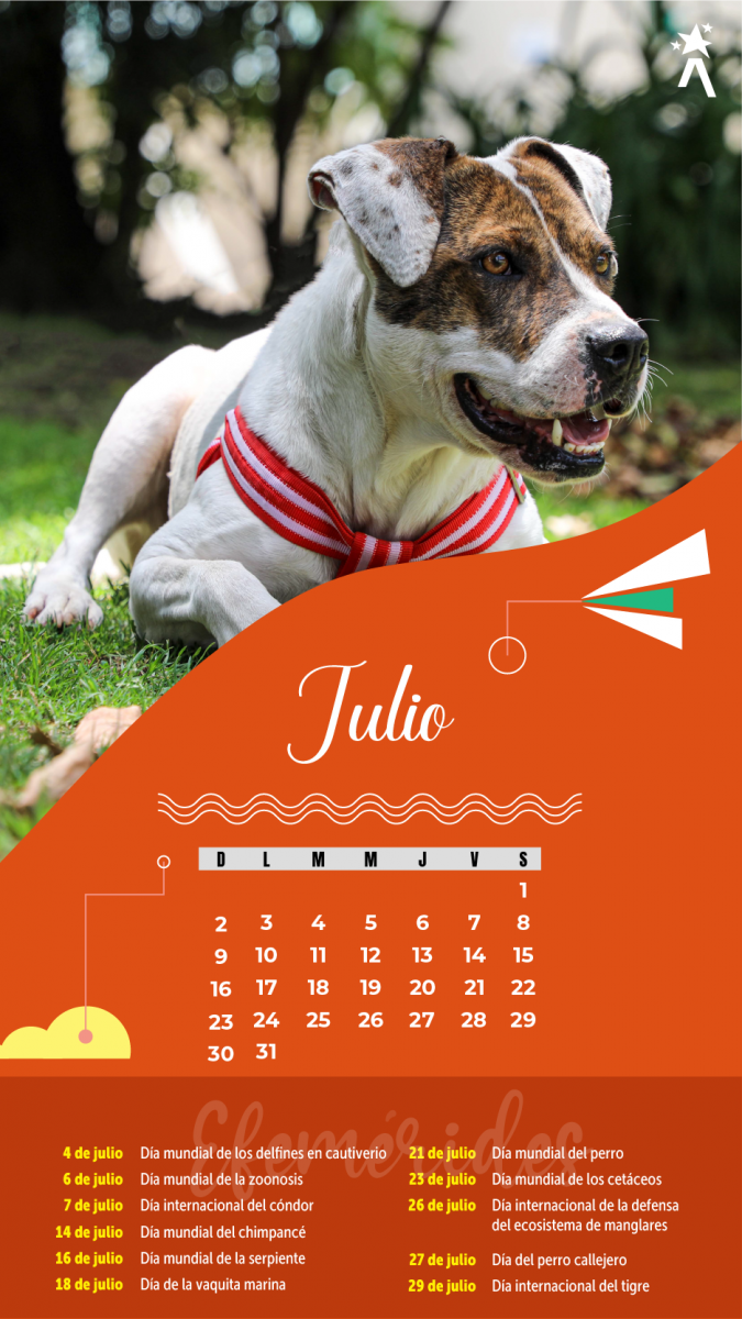 Calendario Julio 2023