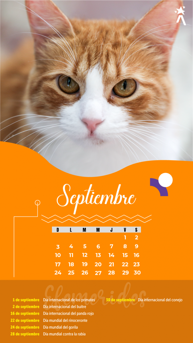 Calendario Septiembre 2023