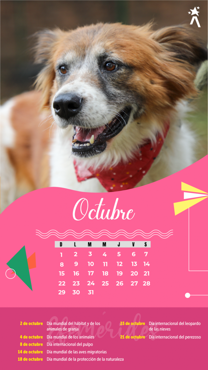 Calendario Octubre 2023