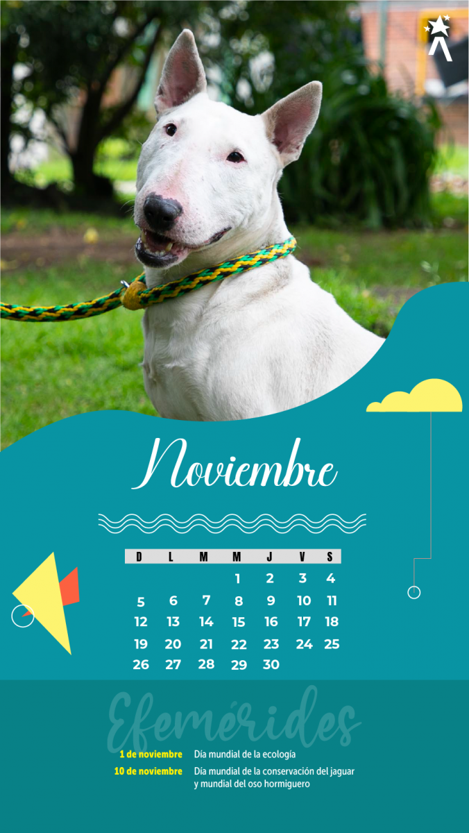 Calendario Noviembre 2023