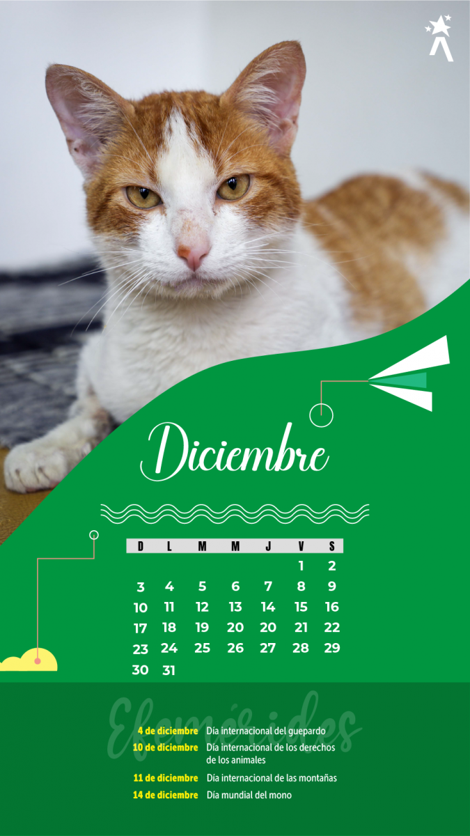 Calendario Diciembre 2023