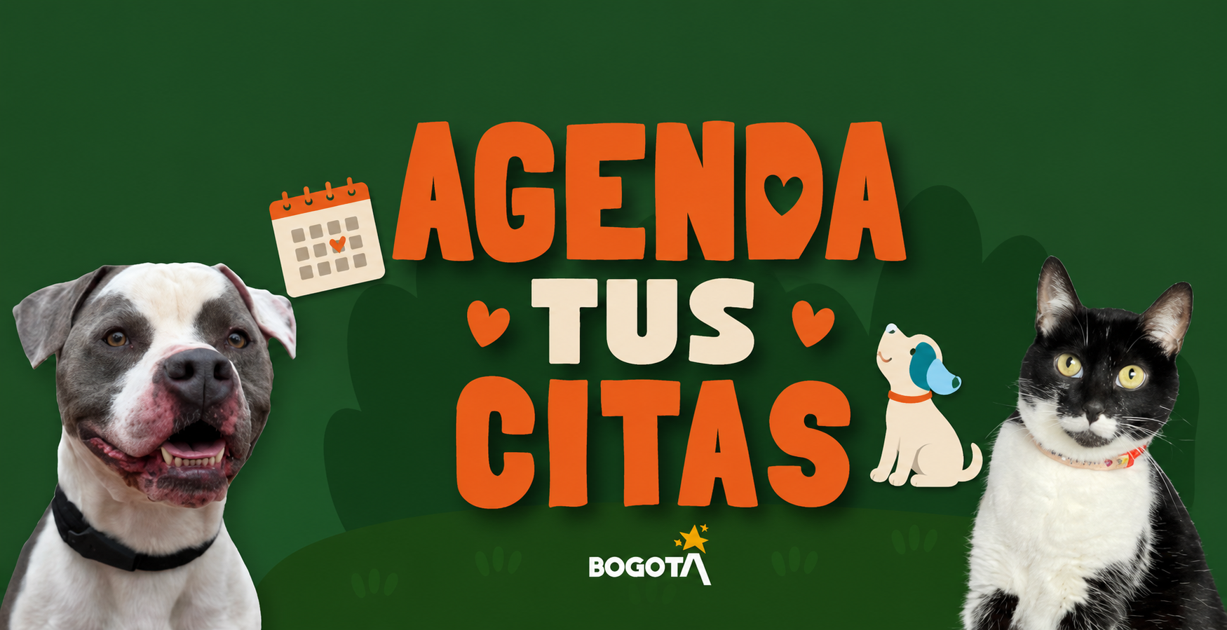 Banner adoptemos lleva tu huella