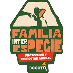 icono nuestros programas