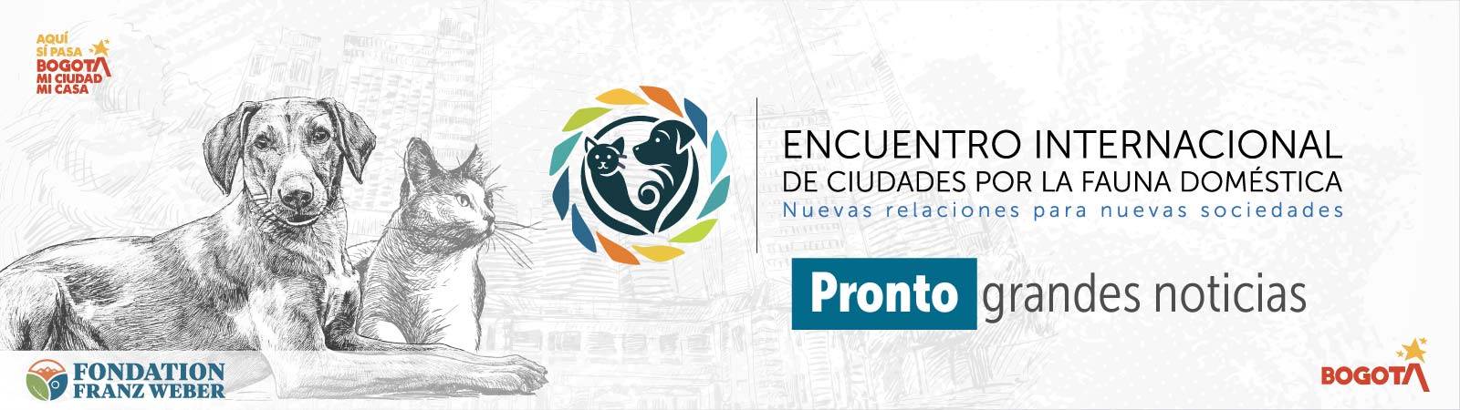 Banner Fauna Doméstica 