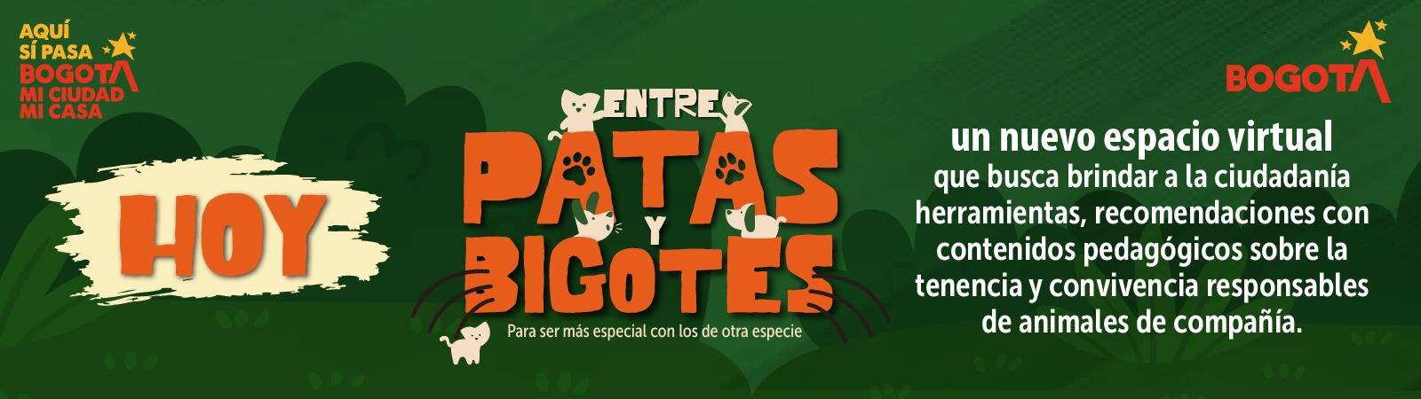 Entre Patas y Bogotes
