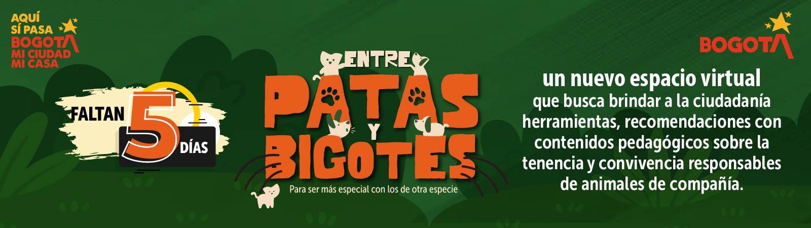 Entre Patas y Bigotes Entre Patas y Bogotes