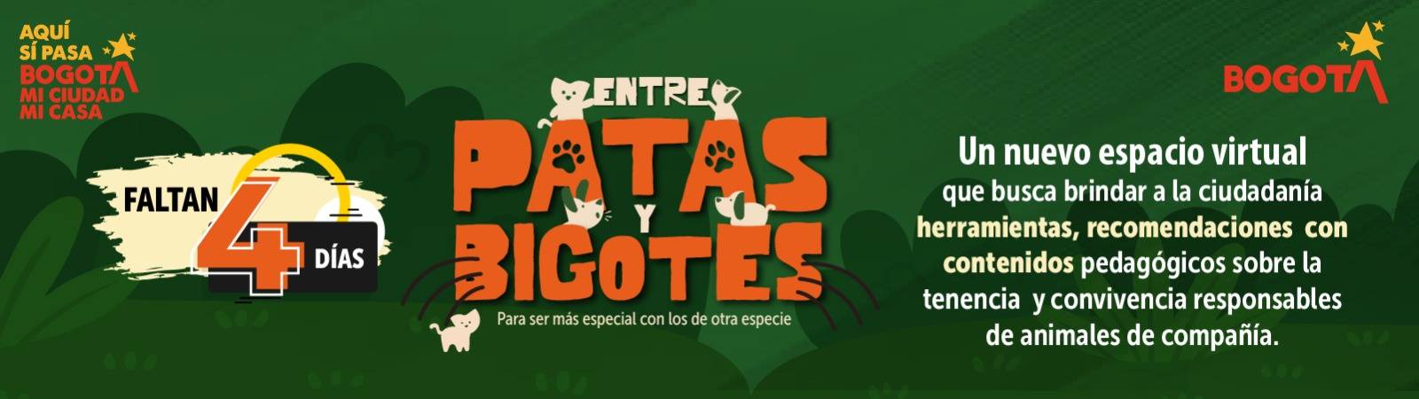 Entre Patas y Bogotes