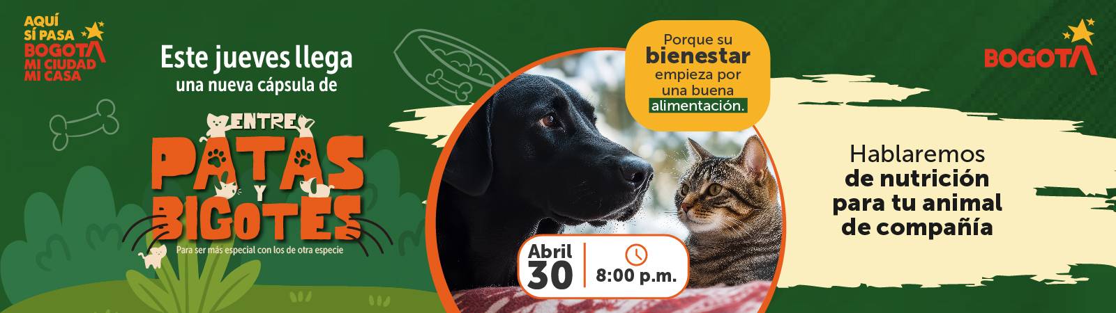 Encuesta Percepción