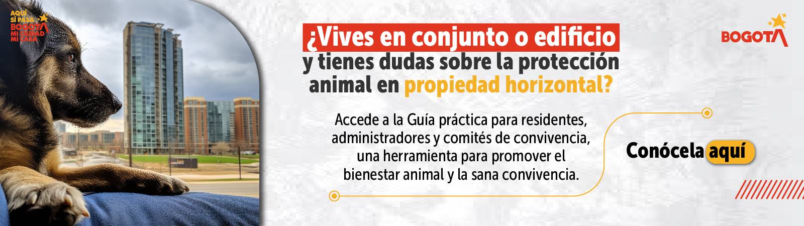 Guía tenencia responsable en Propiedad Horizontal 