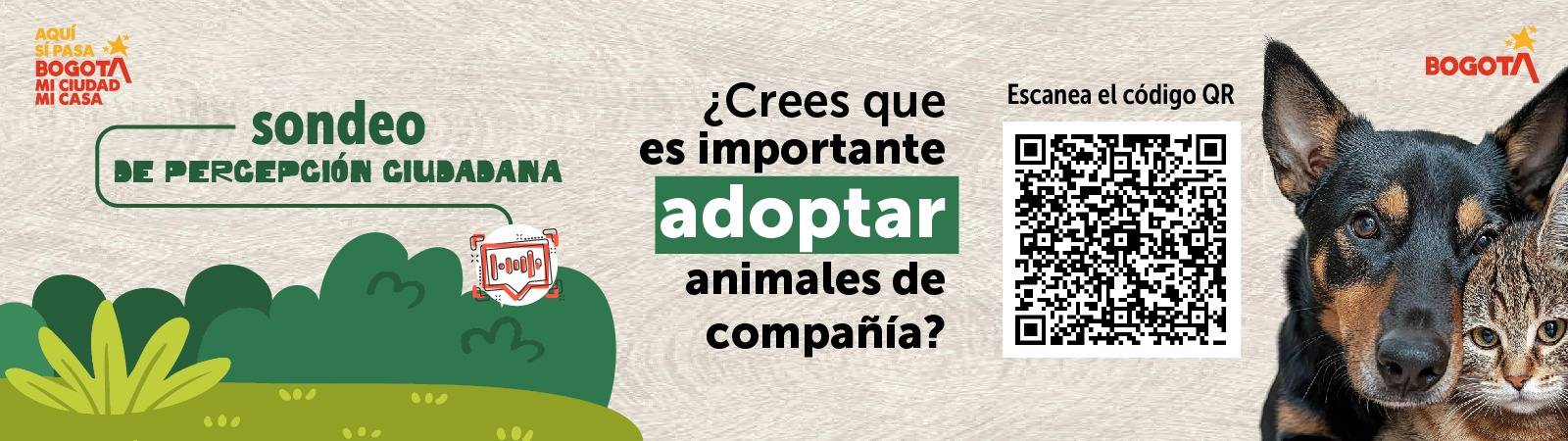 Encuesta Percepción