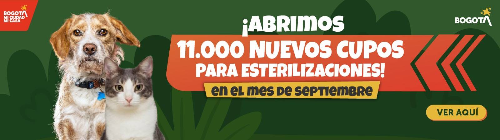 Esterilizaciones Septiembre