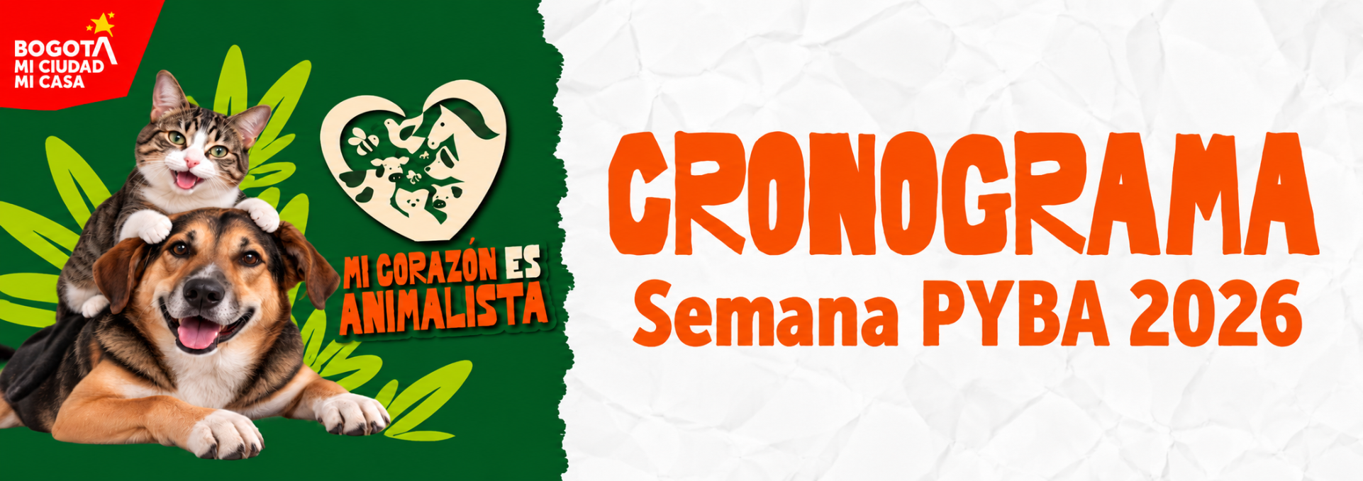 Semana PYBA 2026