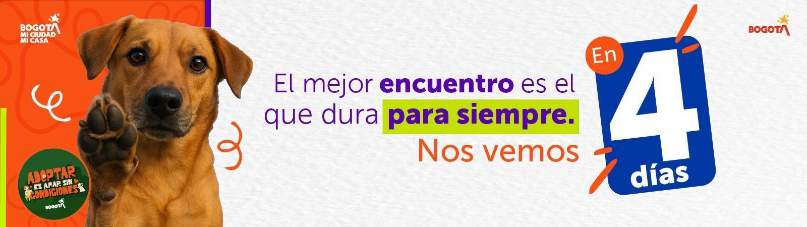 Faktan 4 dias Expopet