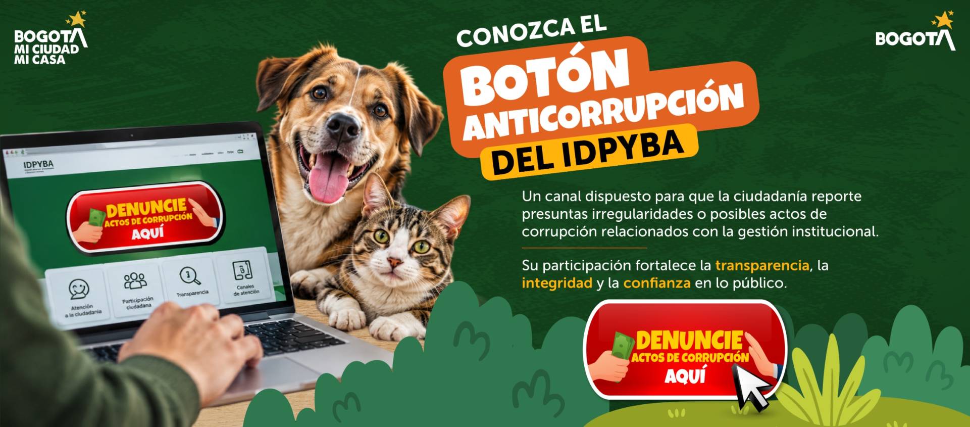Boton Anticorrupción