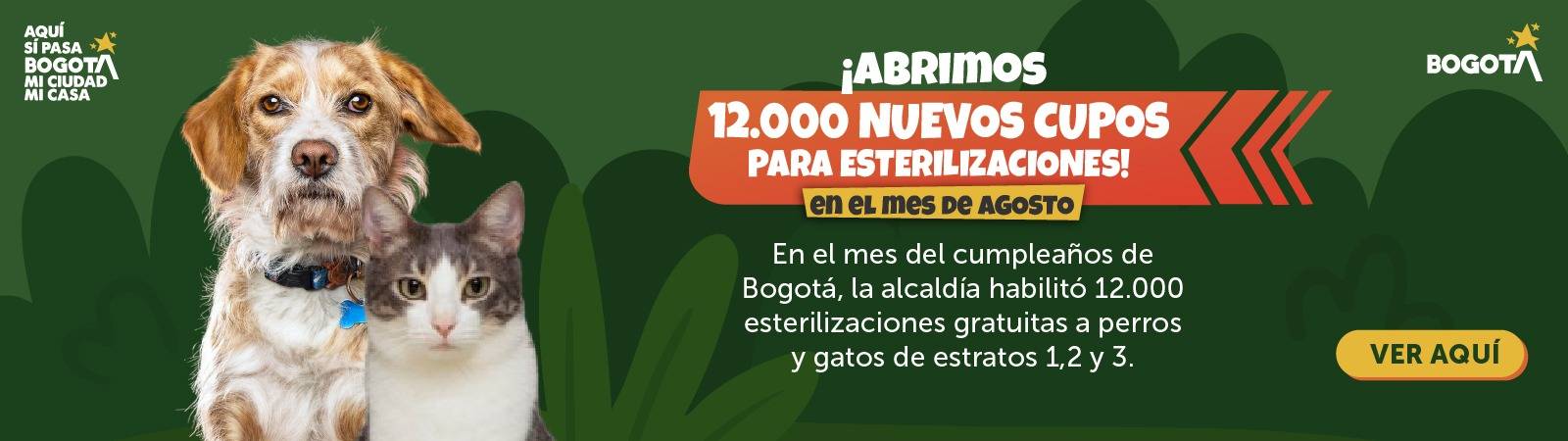 Esterilizaciones Agosto