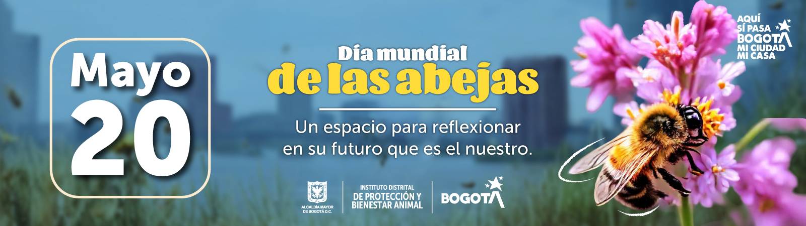 Banner Día de las Abejas 
