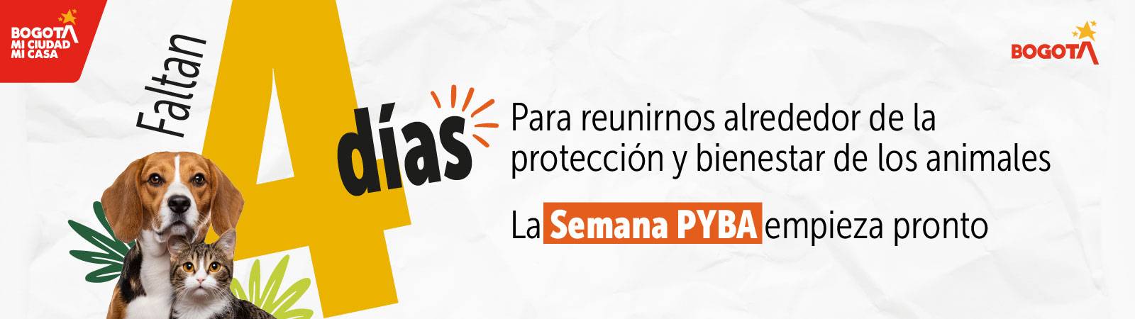 Semana PYBA Semana PYBA