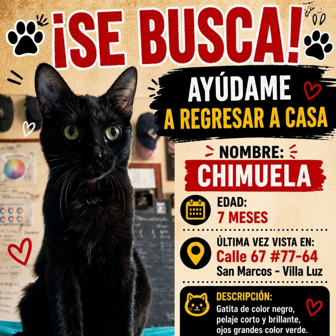 Gata Chimuela