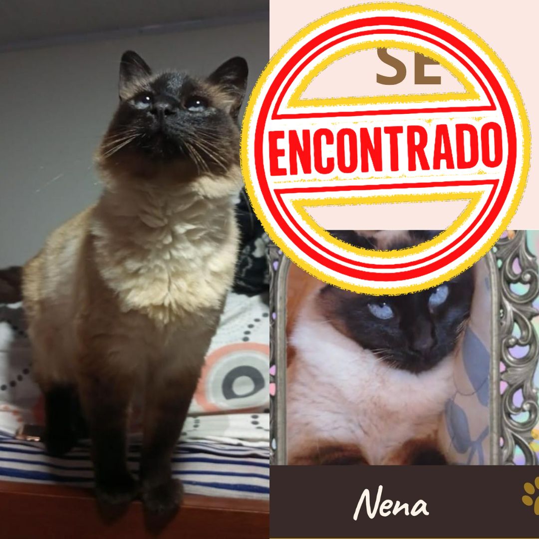 Nena