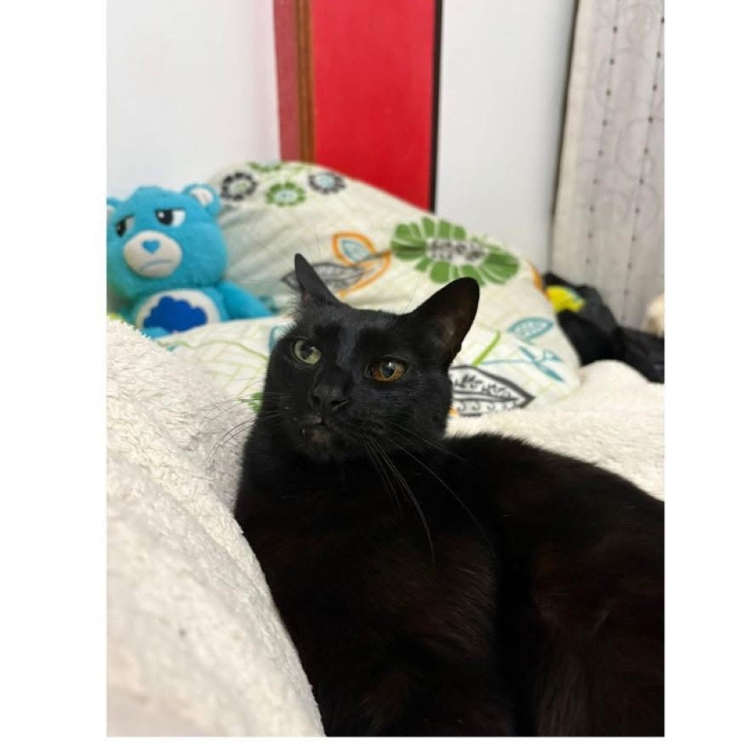 Salem