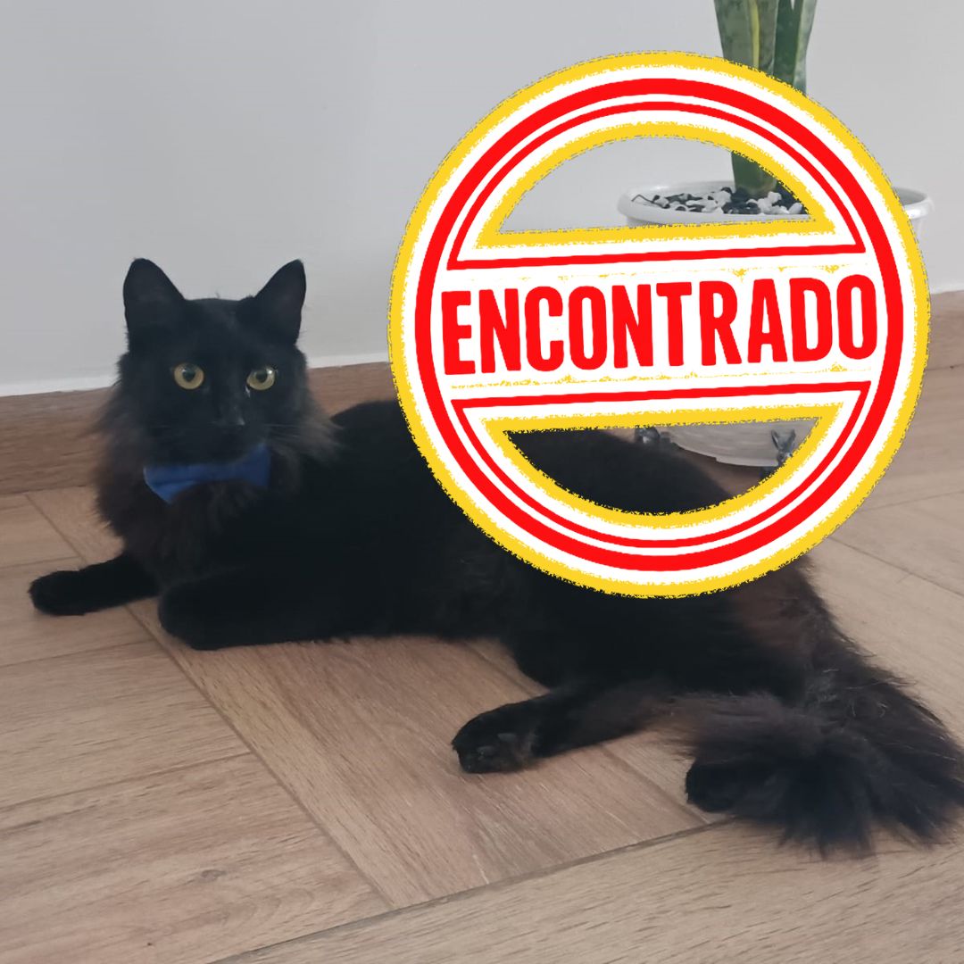Orión