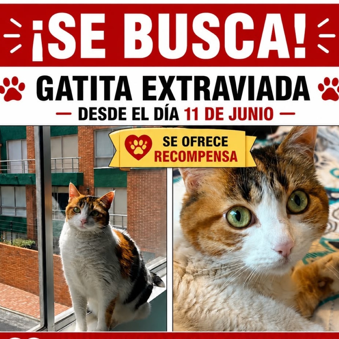 Gatica