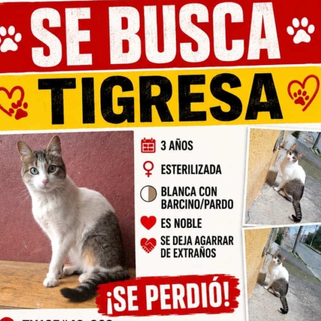Tigresa