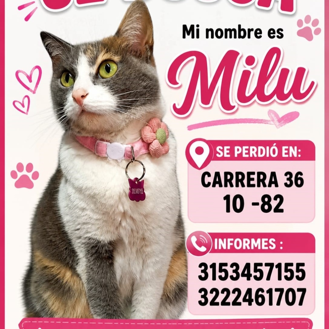 Milú