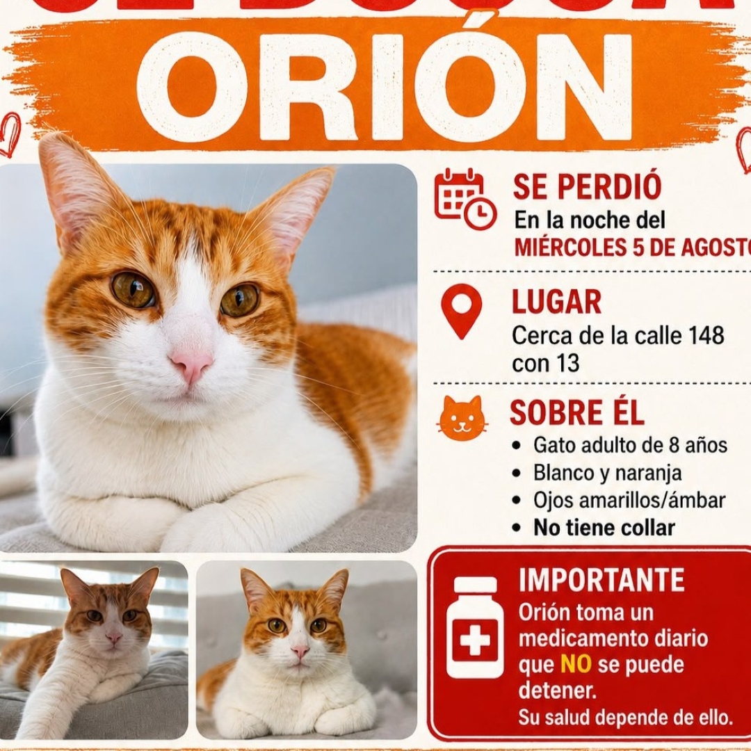 Orión