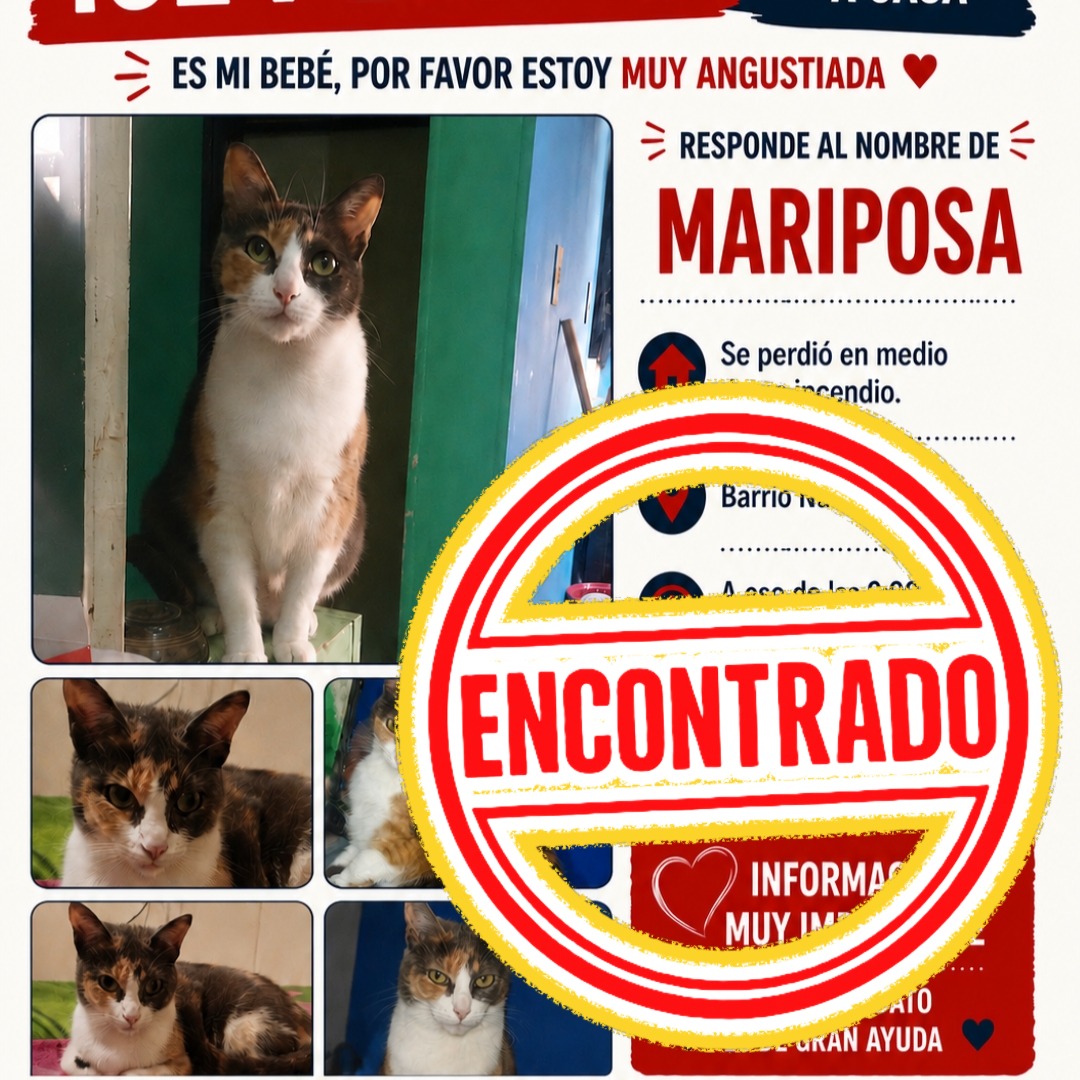 Mariposa
