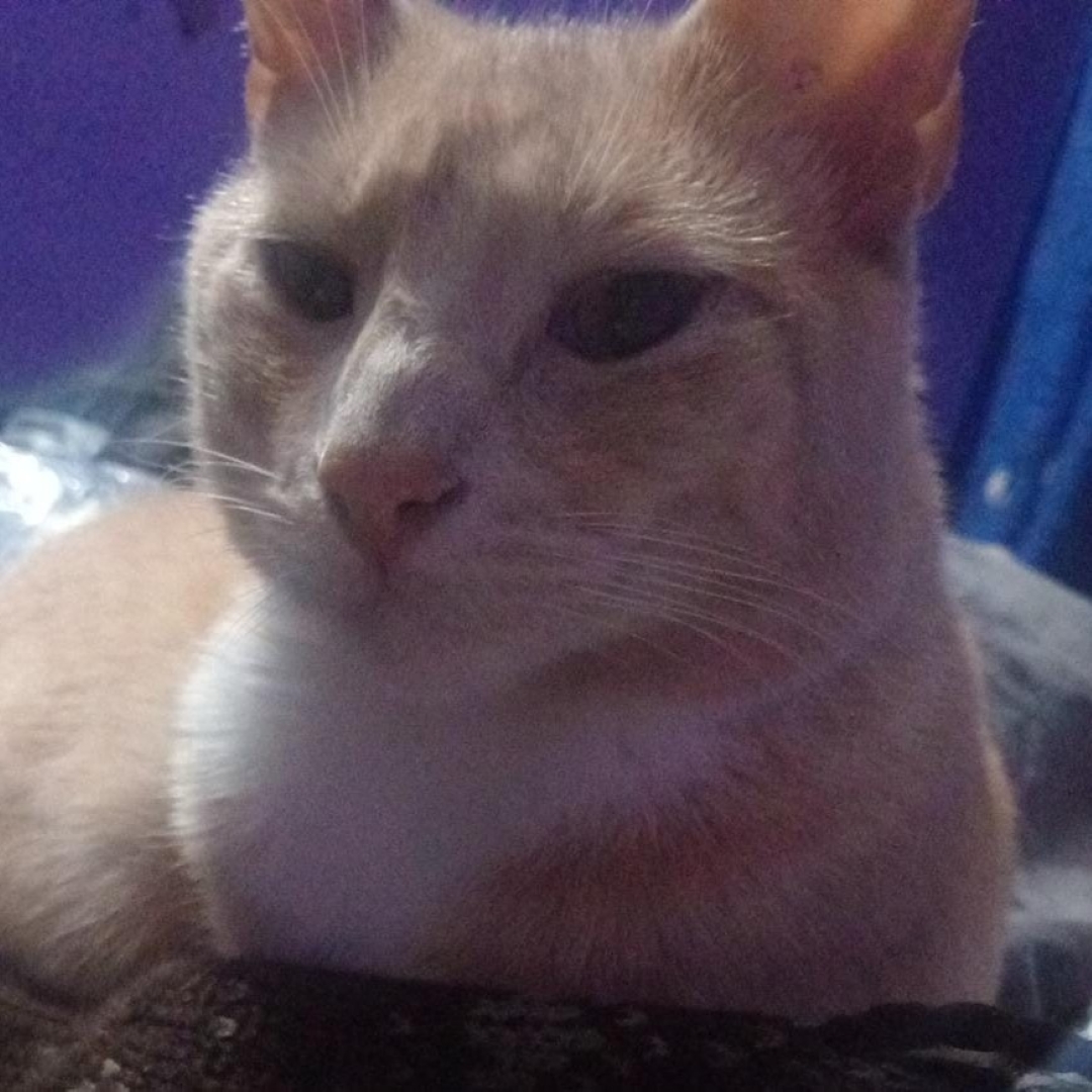 Tony