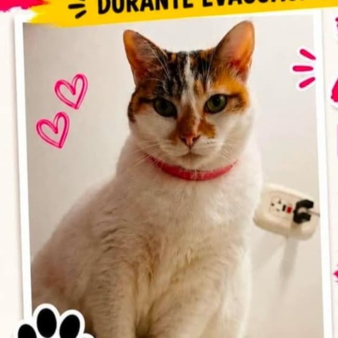 Zoe