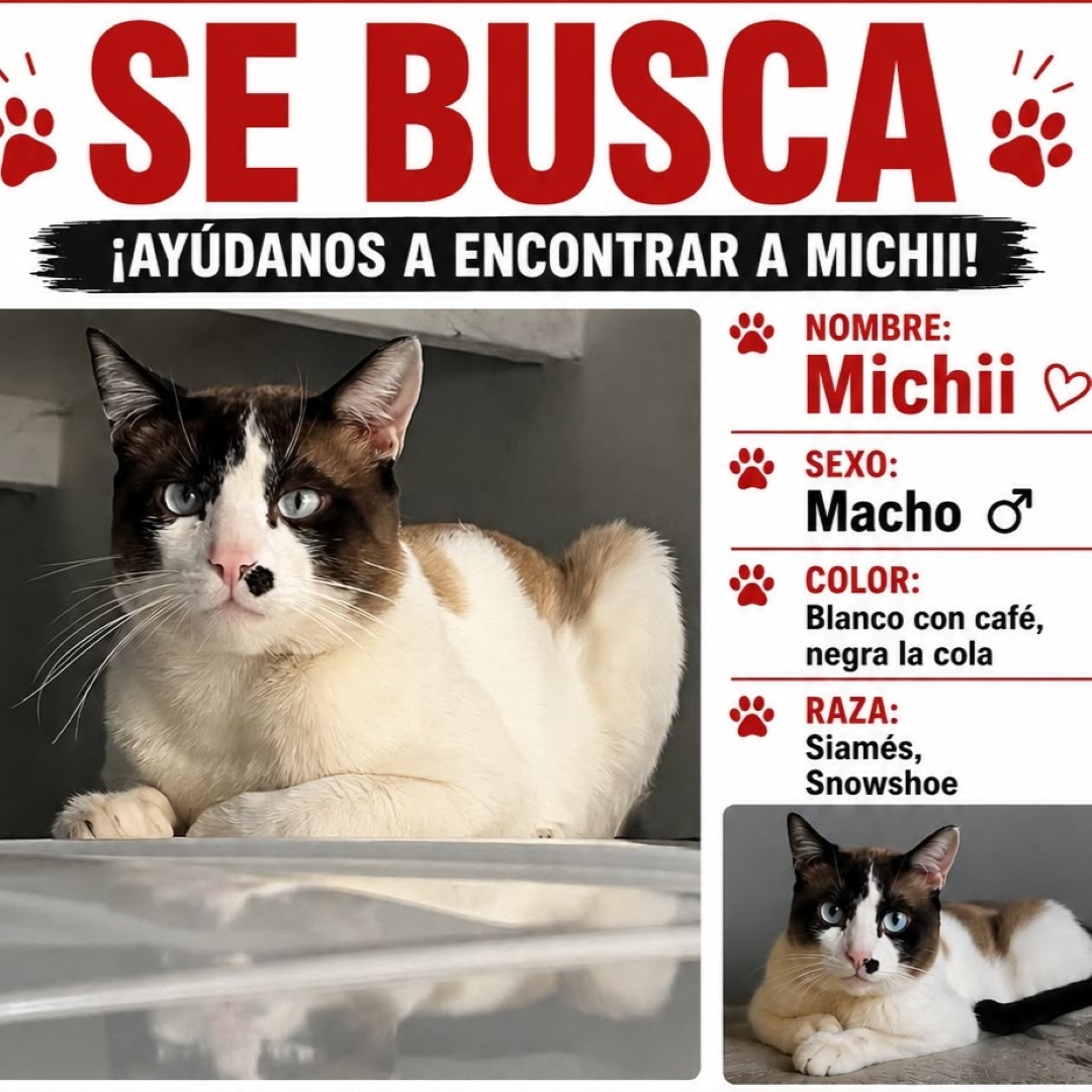 Michii