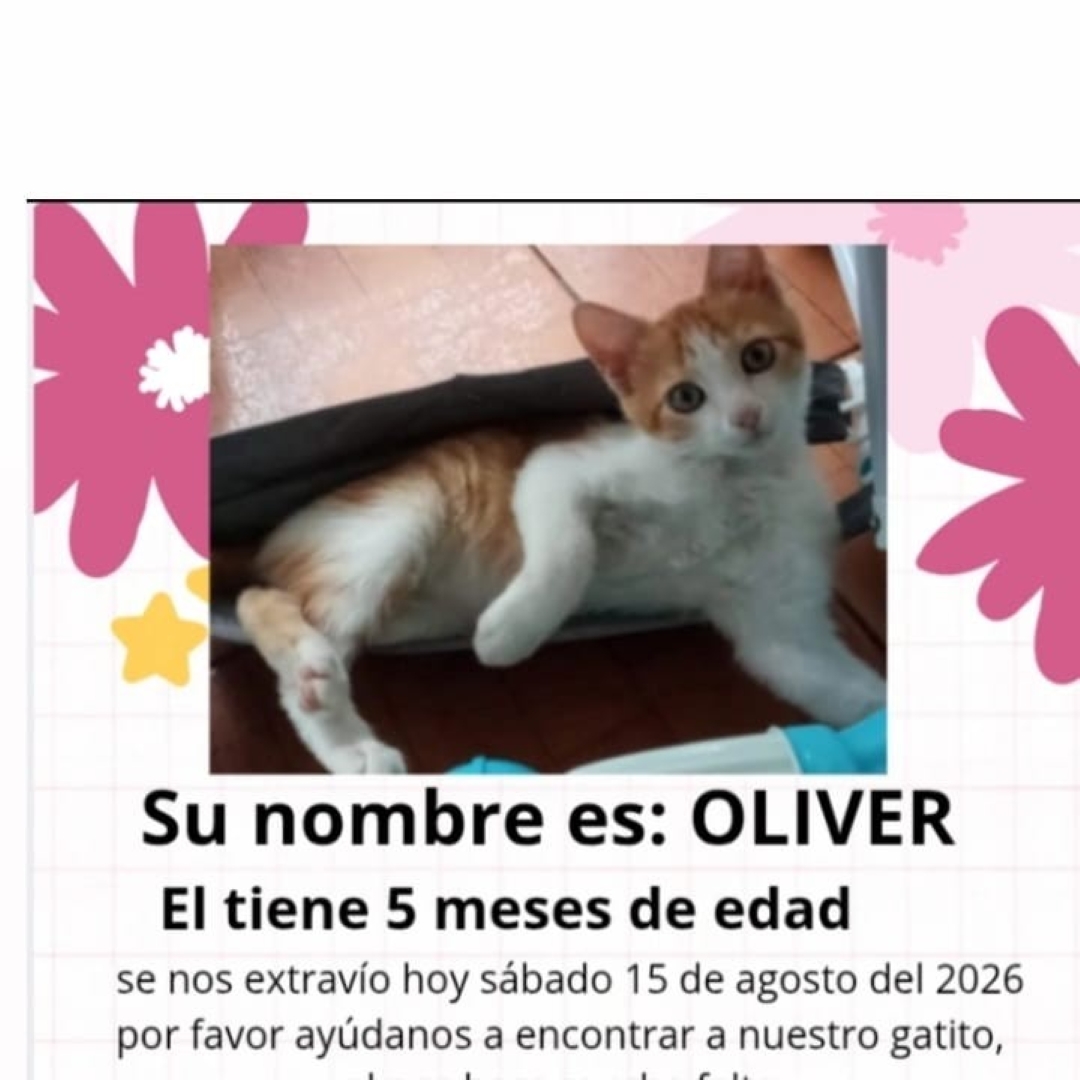 Oliver