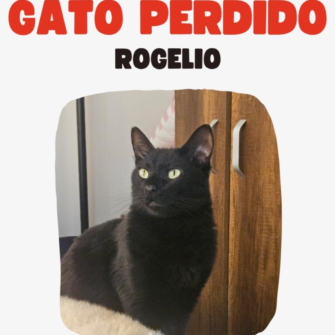 Rogelio