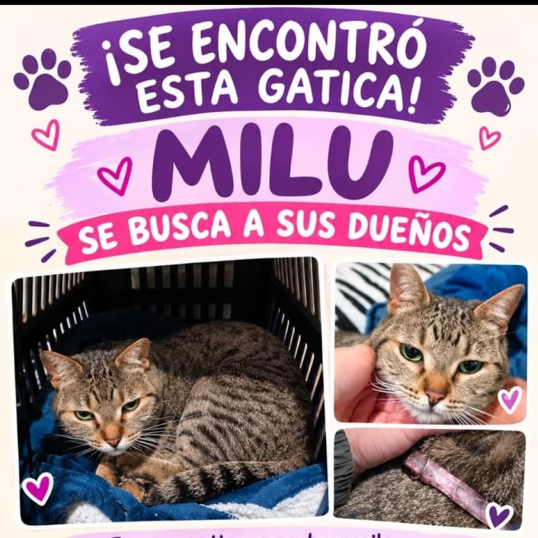 Milu