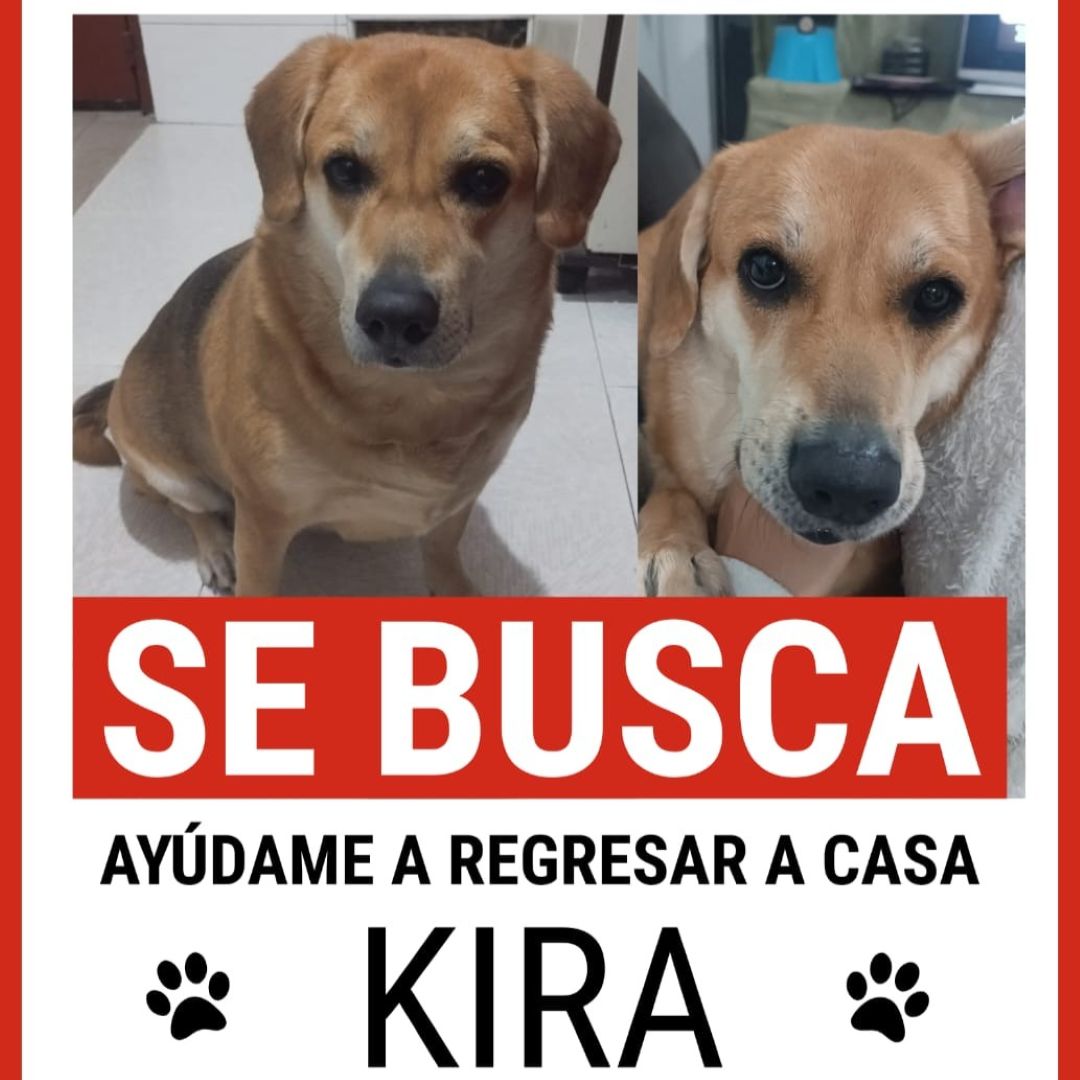 Perra Kira
