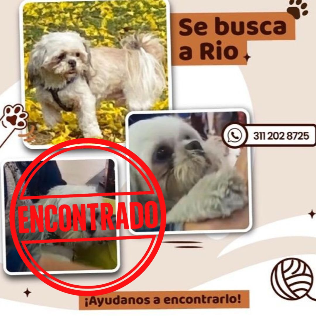 Perro Rio