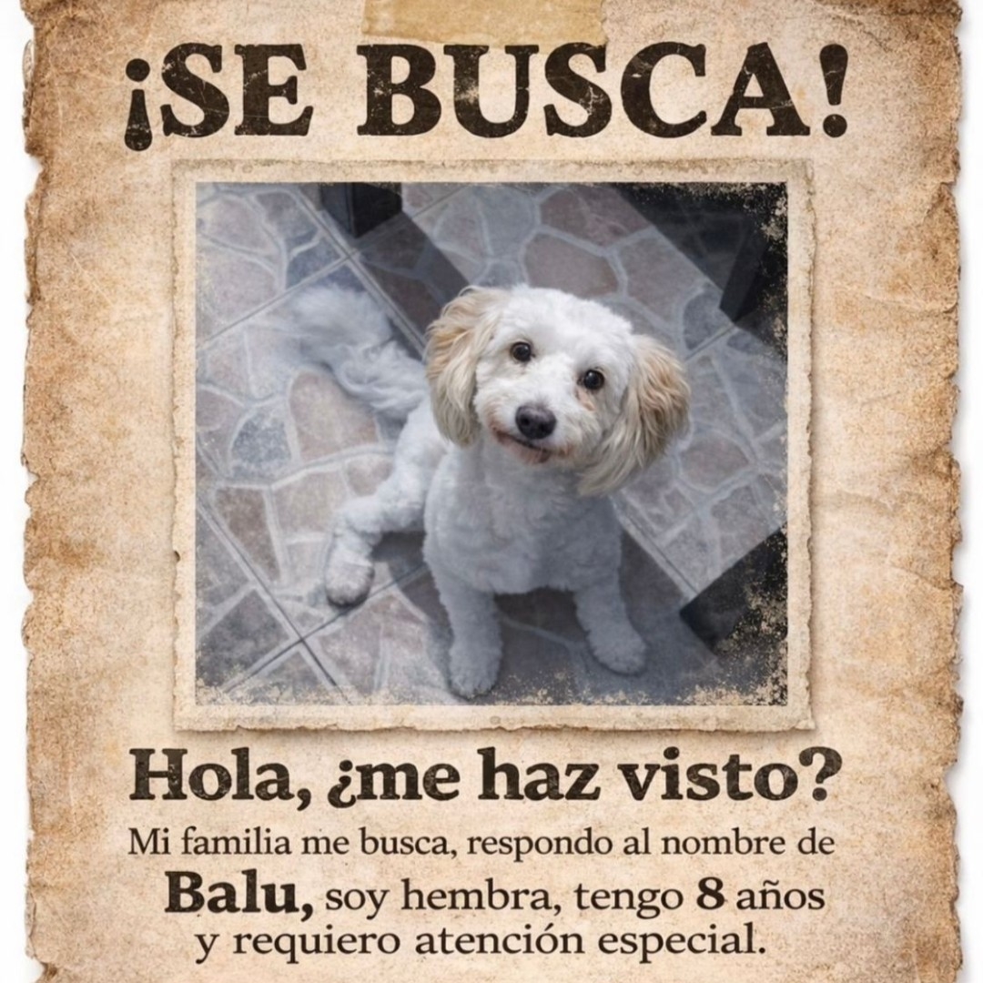 Perro Balu