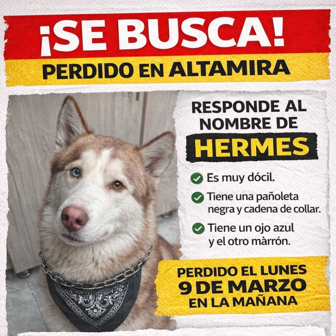 Perro Hermes