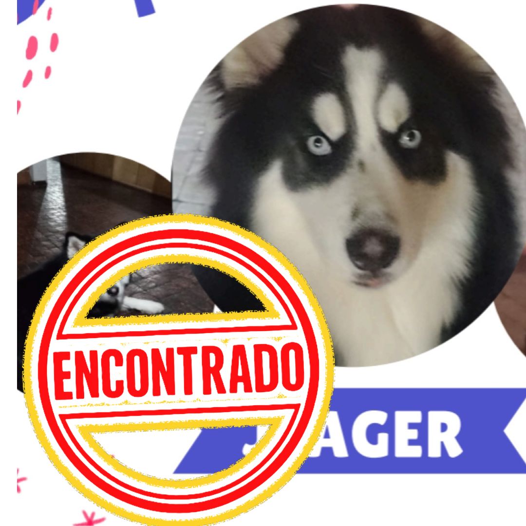 Perro jEAGGER